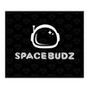 Space Budz